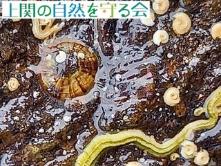 20210630JTV~Z.jpg