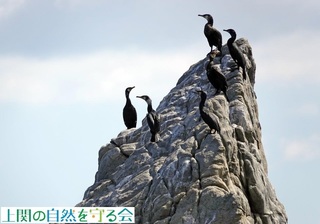 230226̏ŋxރE~E.jpg