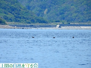 230427-2Ar.jpg