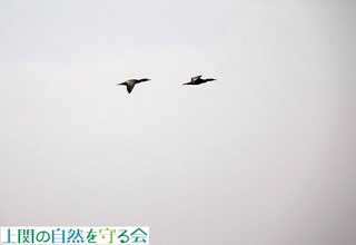 230427-2CԃE.jpg