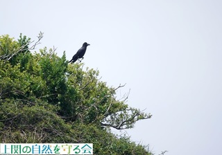 230427-2ӂMnVugKX.jpg