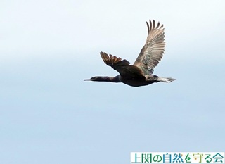 230427qE~H.jpg