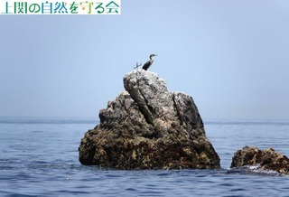 230527Eނ̔їP.jpg
