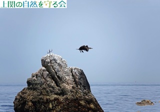 230527Eނ̔їQ.jpg