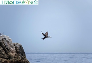 230527Eނ̔їR.jpg