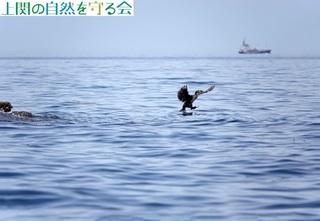 230527Eނ̔їS.jpg