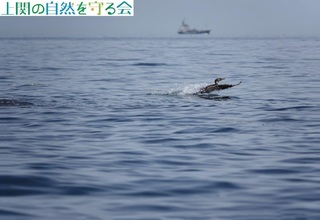 230527Eނ̔їU.jpg