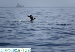 230527Eނ̔їV.jpg