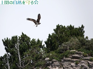 230527̋߂щ~TS.jpg