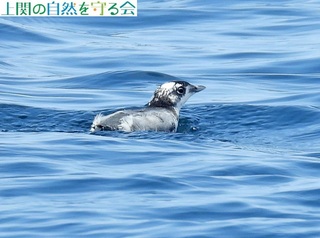 230527PHłJS.jpg