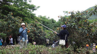 230604-17.jpg