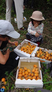230604-19.jpg