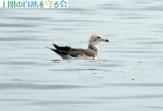 230625E~lRᒹ.jpg