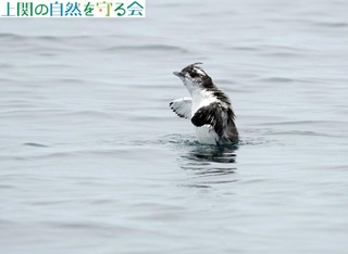 230625J̉HPR.jpg