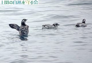 230625J̉HSO.jpg