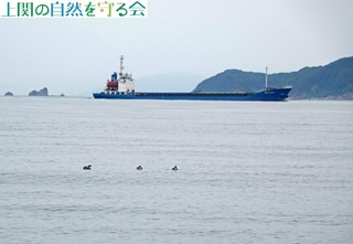 230625JƑQHPR.jpg