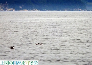 230625JRȞQI.jpg