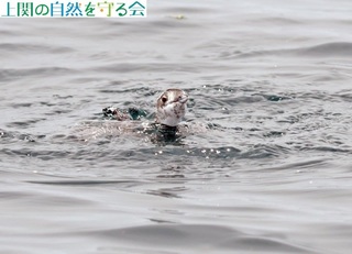 230625畂яオJP.jpg