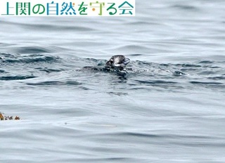230625畂яオJQ.jpg