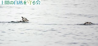 230625HĉH.jpg