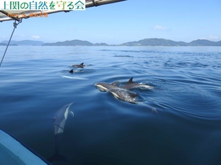 230820nZCJ̌QT.jpg