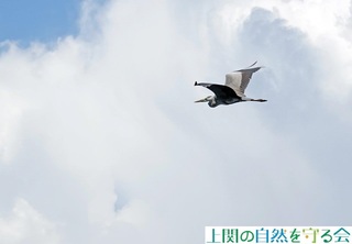 230827ыAITM.jpg