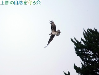 231024~TSQ.jpg