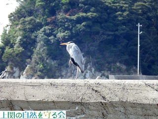 231024БŋxރAITM.jpg