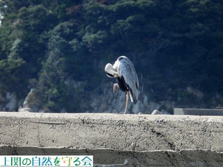 231024Hт̎n߂AITM.jpg