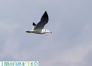 231126E~lRQ.jpg