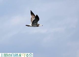 231126E~lRᒹ.jpg