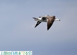 231126E~lRᒹr.jpg