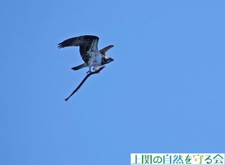 231126l܂ܔї.jpg