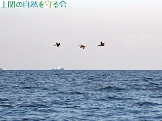 231210qEP.jpg