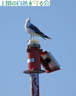 231210hŋxރE~lR.jpg