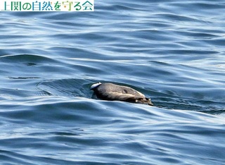 231210`ރJ.jpg