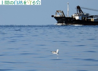 231224E~lR.jpg