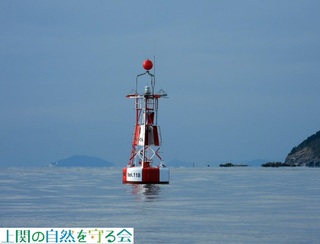 231224uC̏ŋxރE~lR.jpg