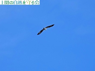 231224ǂʐ^BȂ~TS.jpg