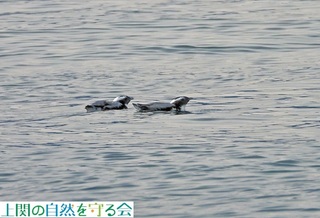 240130ƌJP.jpg
