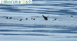 240130E~XỶHQ.jpg