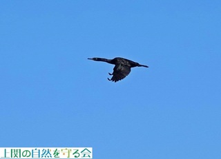 240217qE.jpg