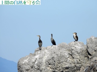 240217ŋxރE~E.jpg