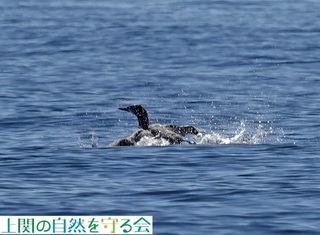 240217яオȂArނQ.jpg