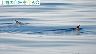 240316ƌJP.jpg