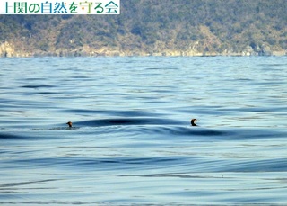 240316ArށVGIInH.jpg