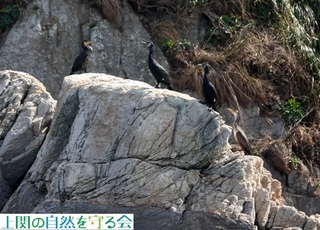 240316E~E̐ᒹ.jpg