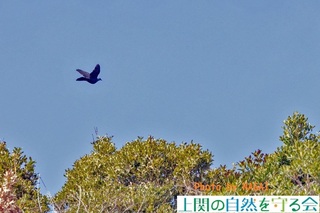 240316JXogPN.jpg