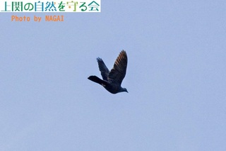 240316JXogRN.jpg