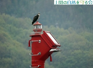 240406~TŜo}H.jpg